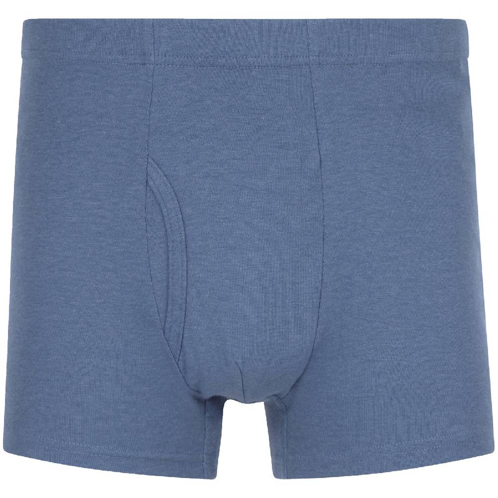 Jan Vanderstorm 5er Pack Retropants GARDAR Blau