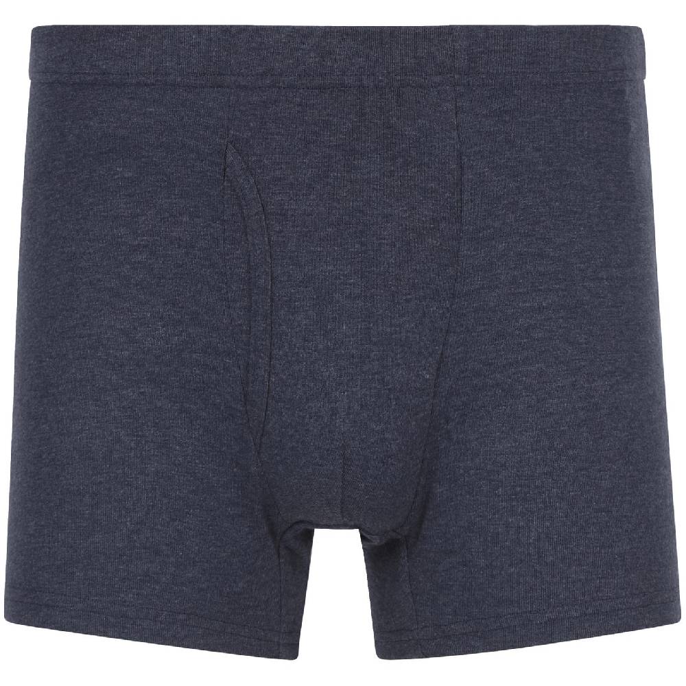 Jan Vanderstorm 5er Pack Retropants GARDAR Blau