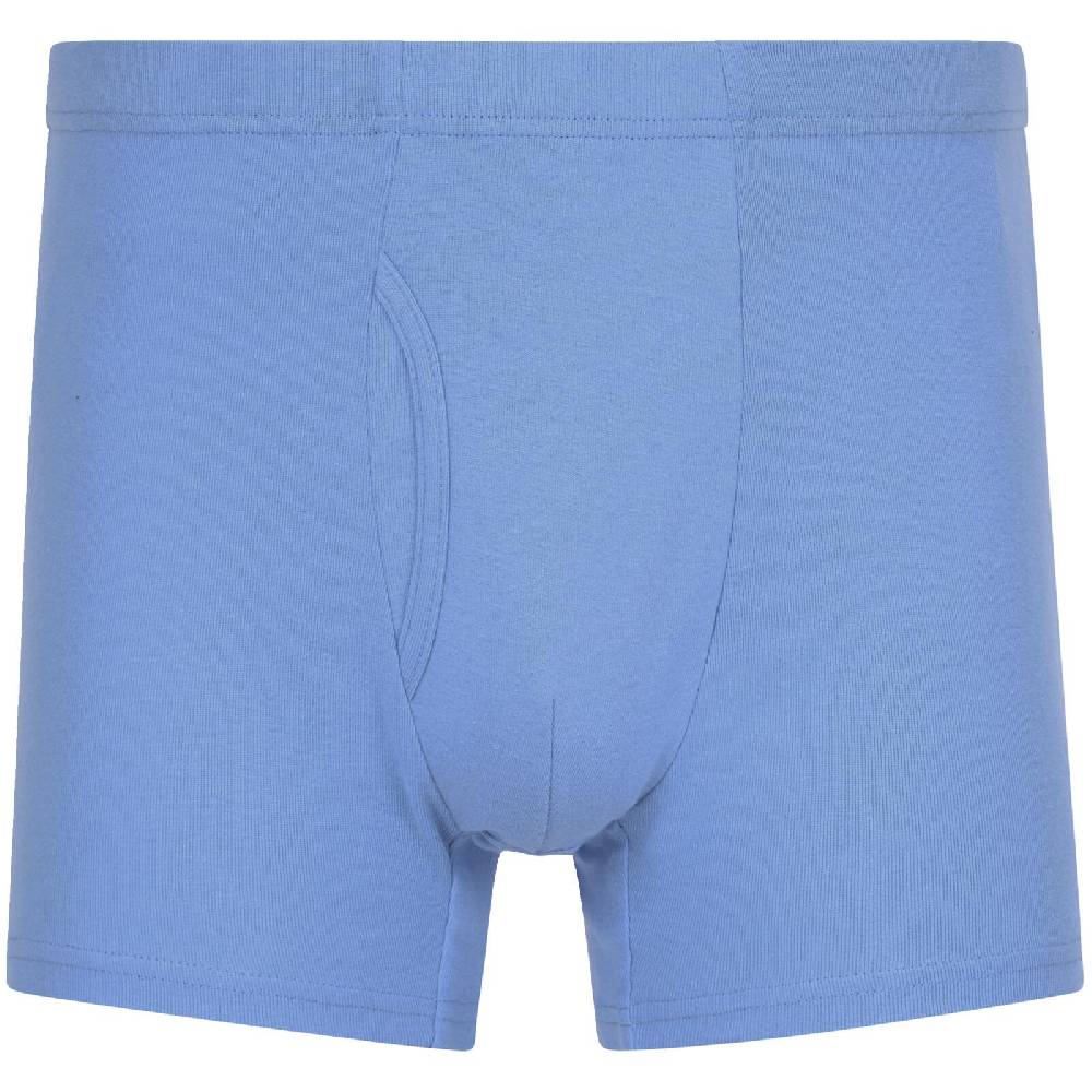 Jan Vanderstorm 5er Pack Retropants GARDAR Blau