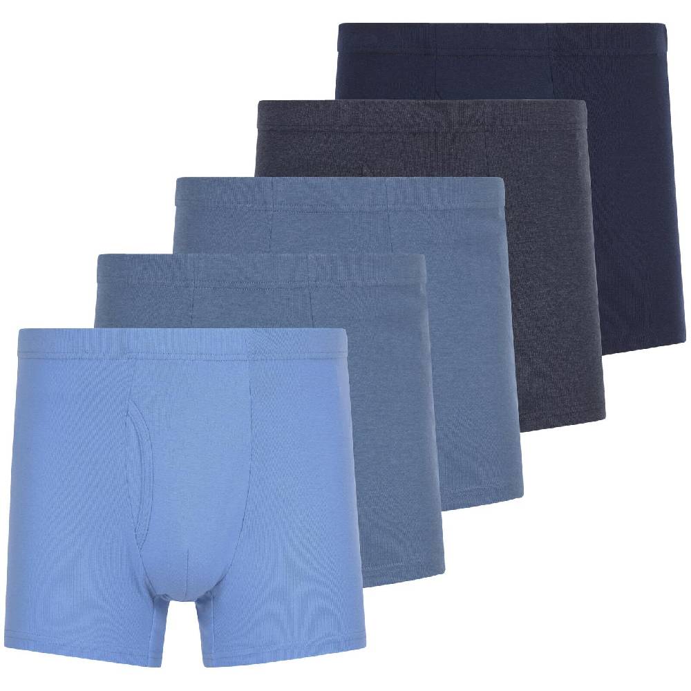 Jan Vanderstorm 5er Pack Retropants GARDAR blau