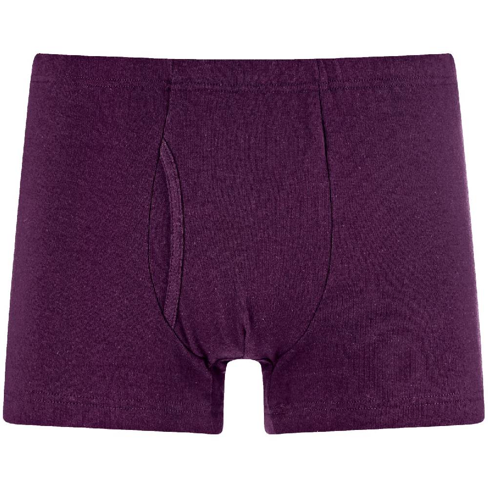 Jan Vanderstorm 5er Pack Retropants GARDAR Bunt