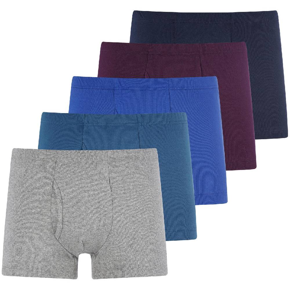 Jan Vanderstorm 5er Pack Retropants GARDAR bunt