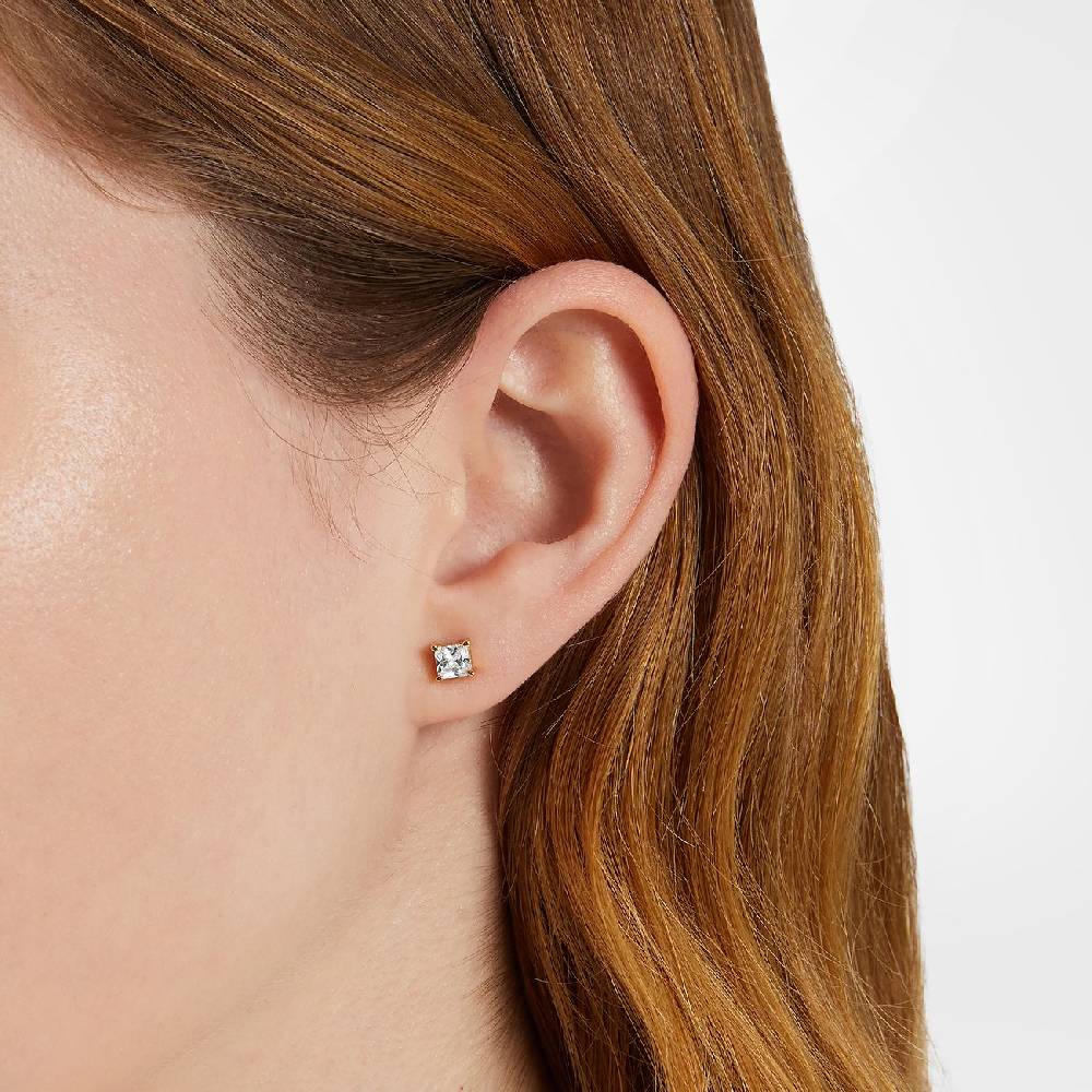 Chiara Ferragni Ohrstecker J19AVJ16