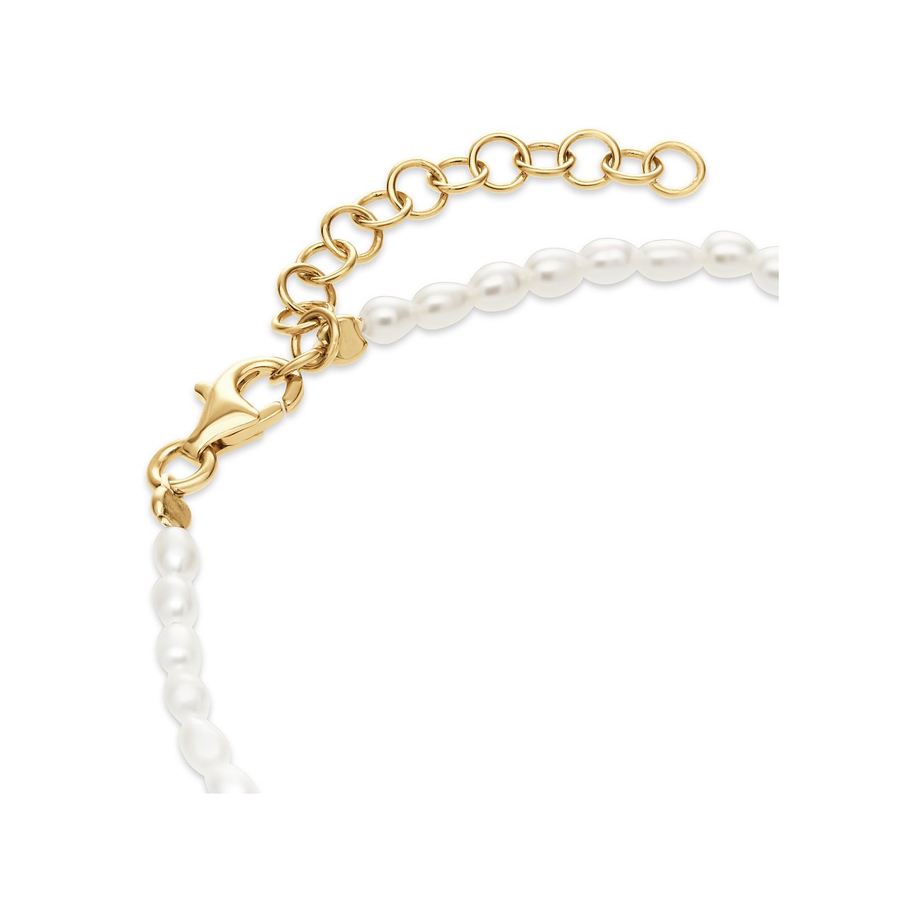 FAVS Armband 88556682