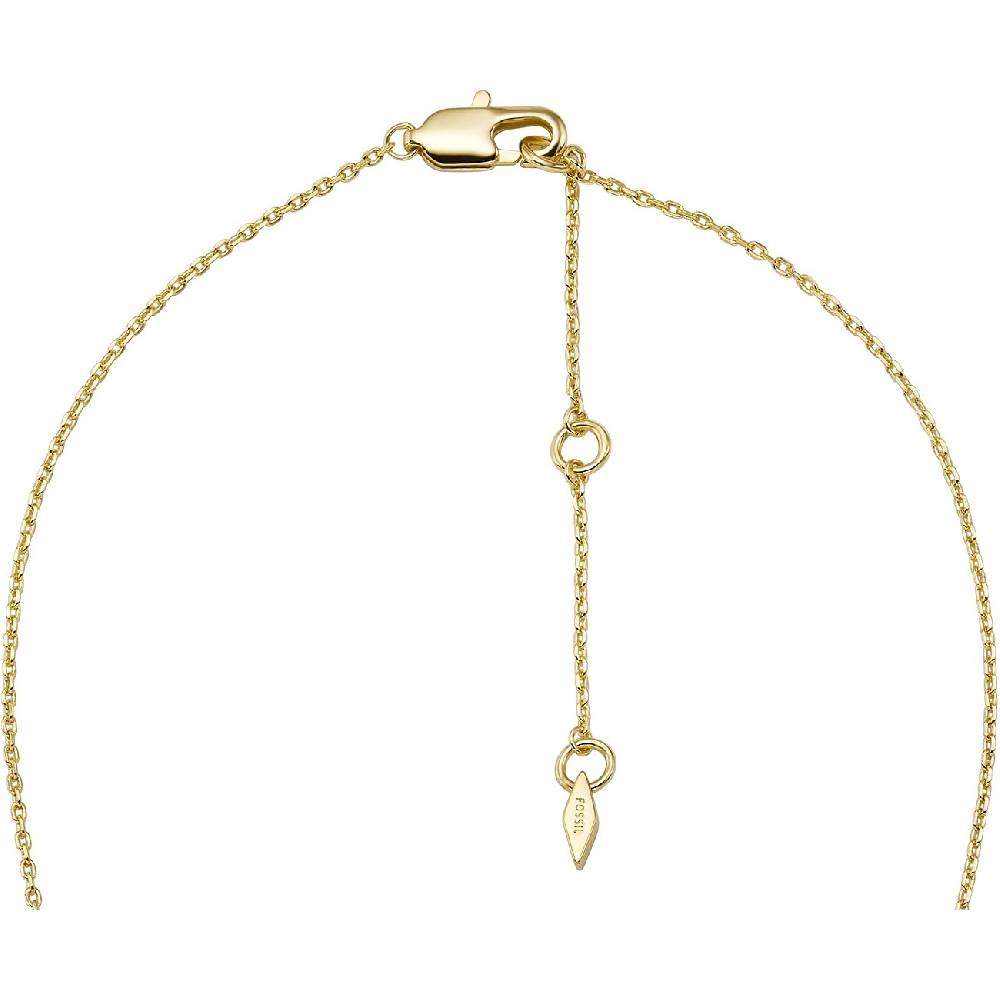 Fossil Kette JEWELRY JA7201710