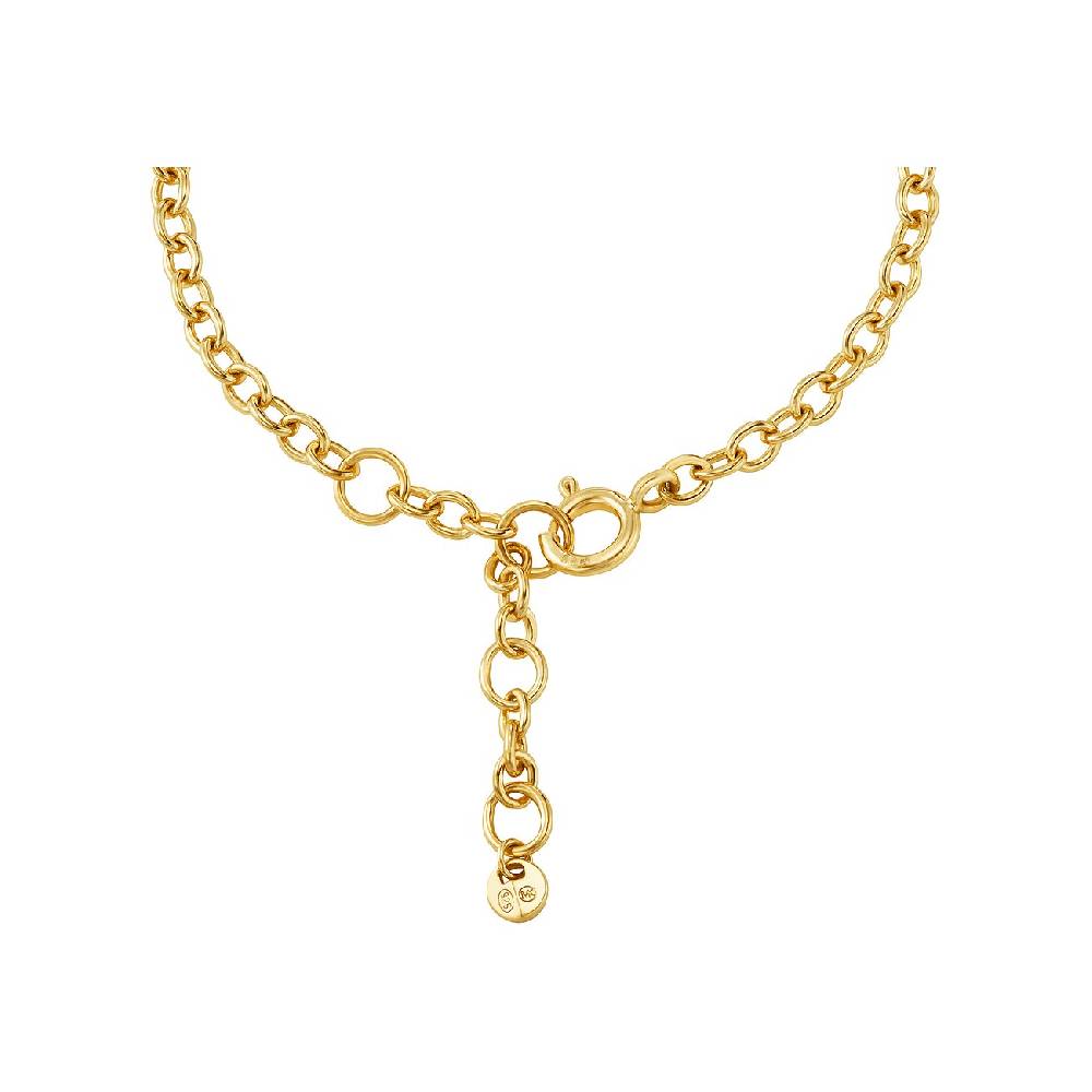 Michael Kors Armband Kors Mk MKC1604AH710