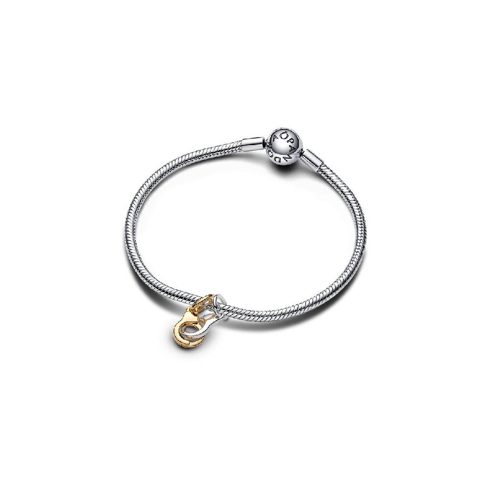 Pandora Anhänger Moments 763435C00