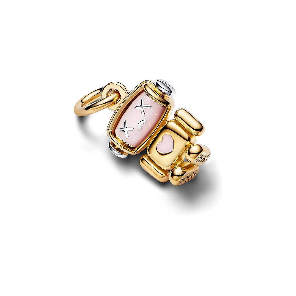 Pandora Anhänger Moments 763441C01