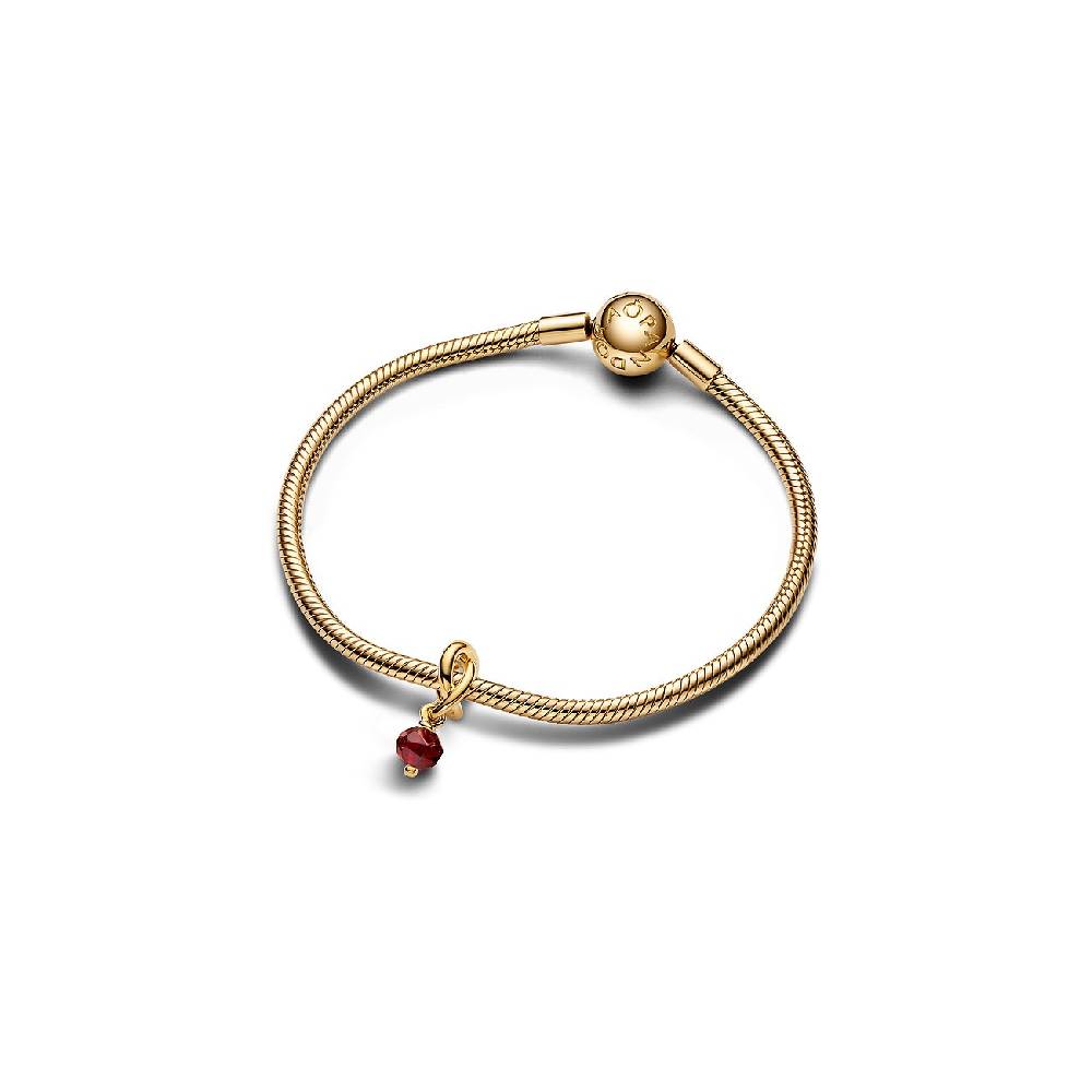 Pandora Anhänger Moments 763462C01