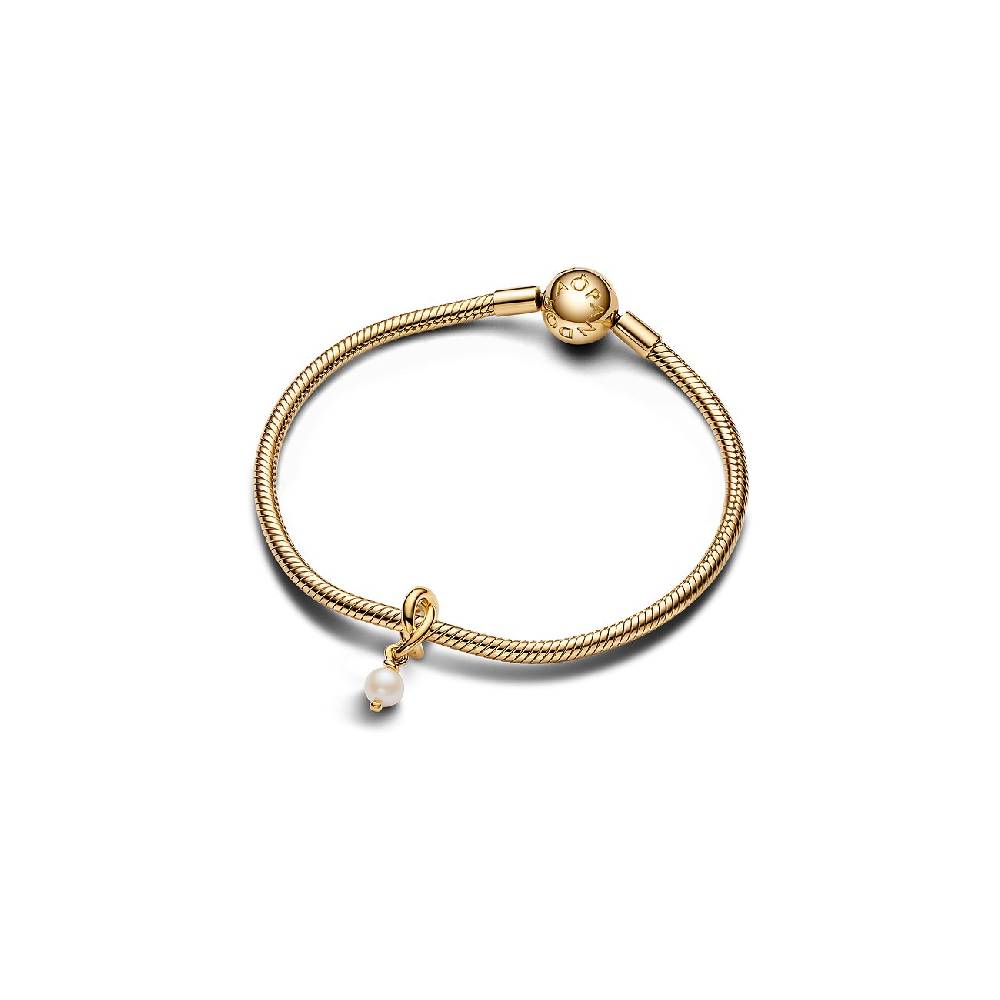 Pandora Anhänger Moments 763462C06