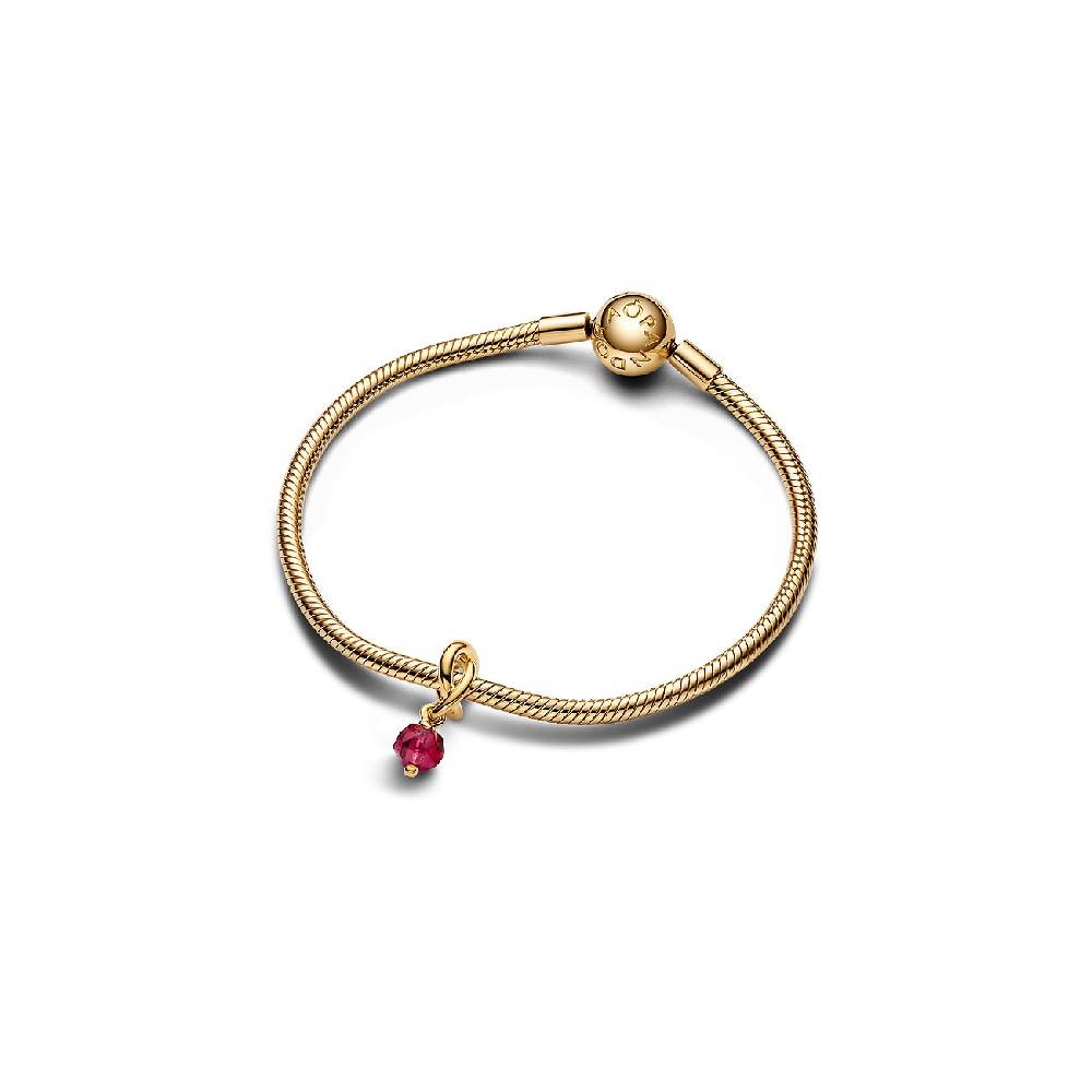 Pandora Anhänger Moments 763462C07