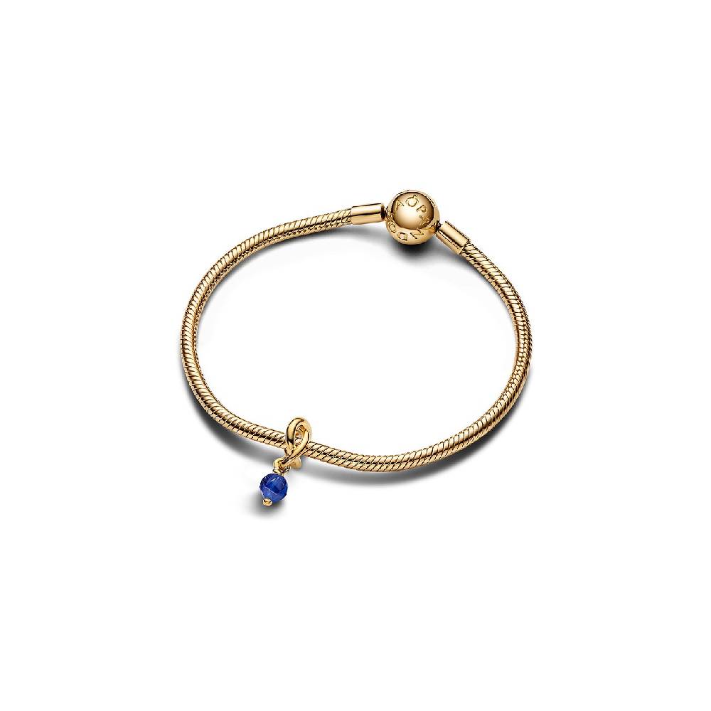 Pandora Anhänger Moments 763462C09