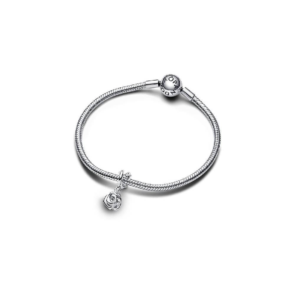 Pandora Anhänger Moments 793213C00