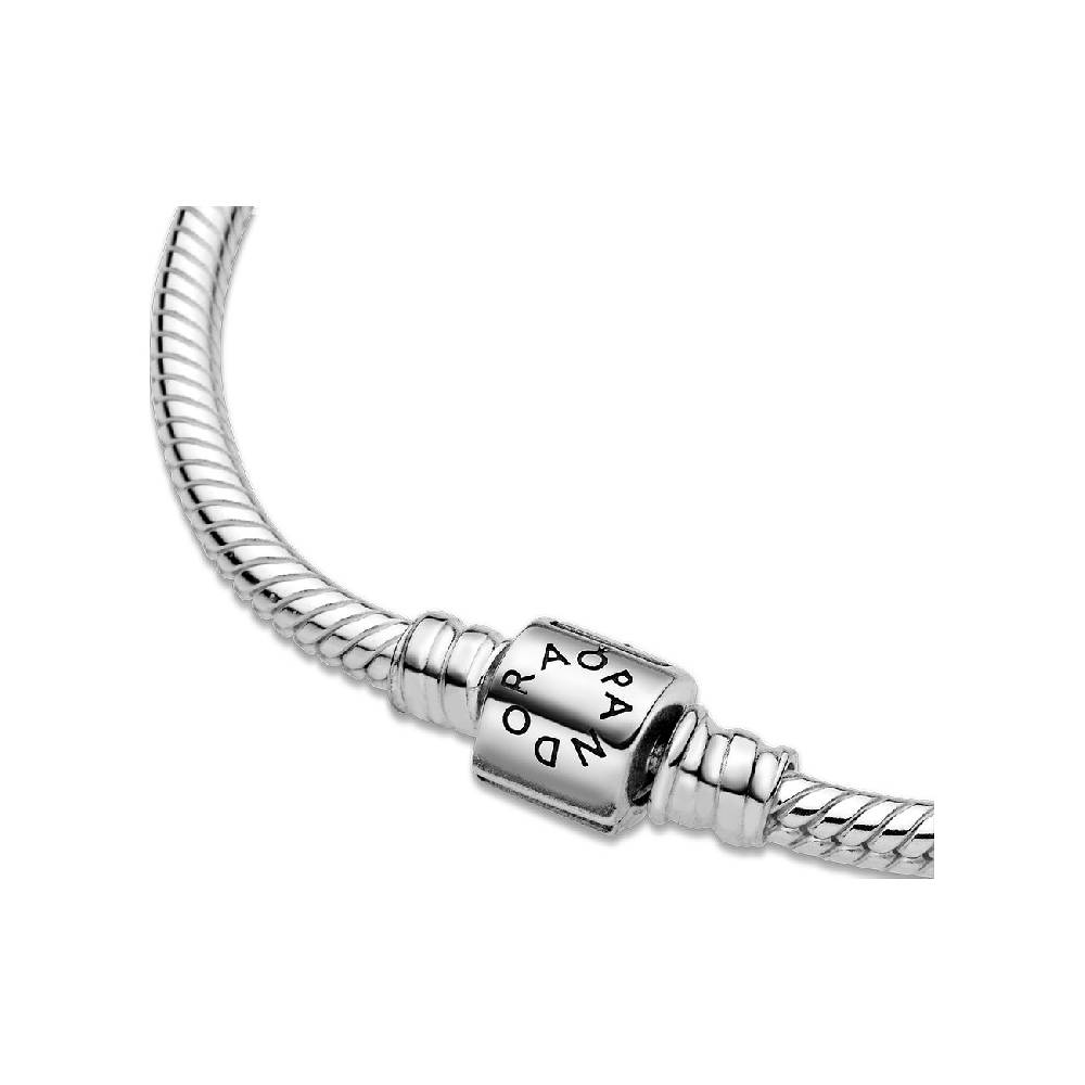 Pandora Armband Moments