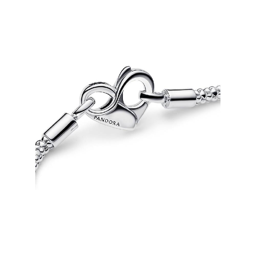 Pandora Armband Moments