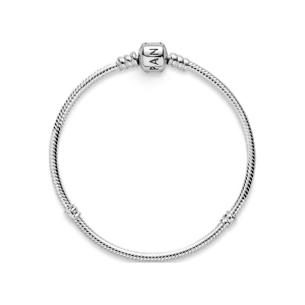 Pandora Armband Moments