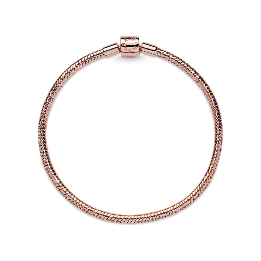 Pandora Armband Moments