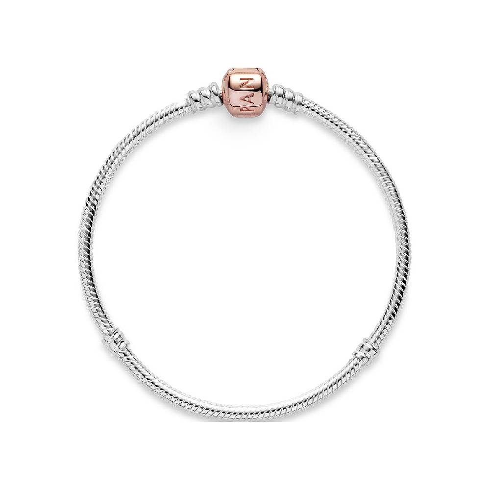 Pandora Armband Moments