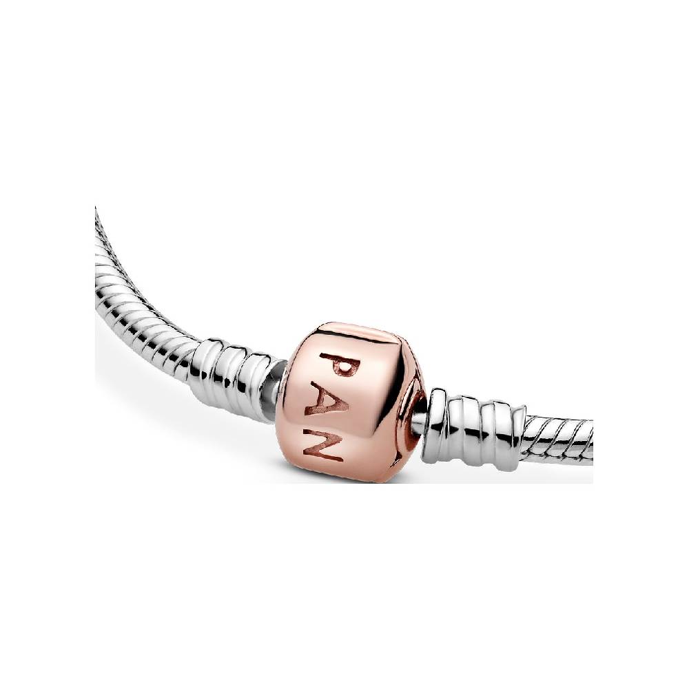 Pandora Armband Moments