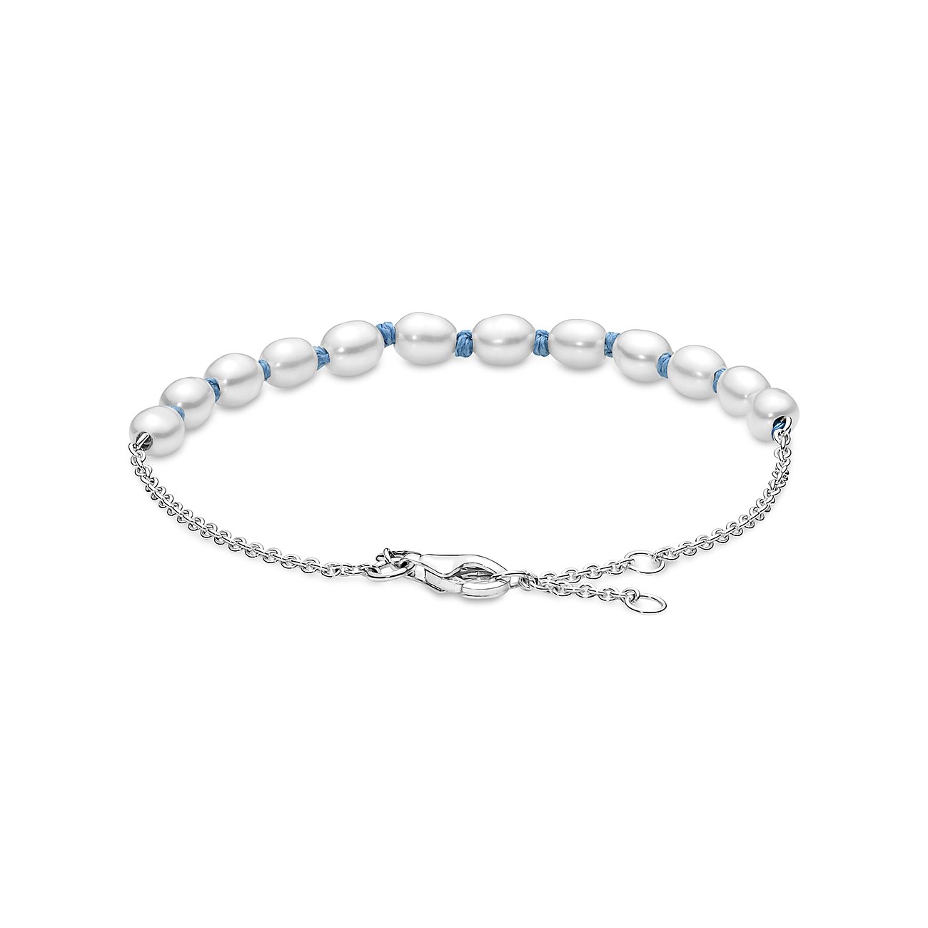Pandora Armband Moments