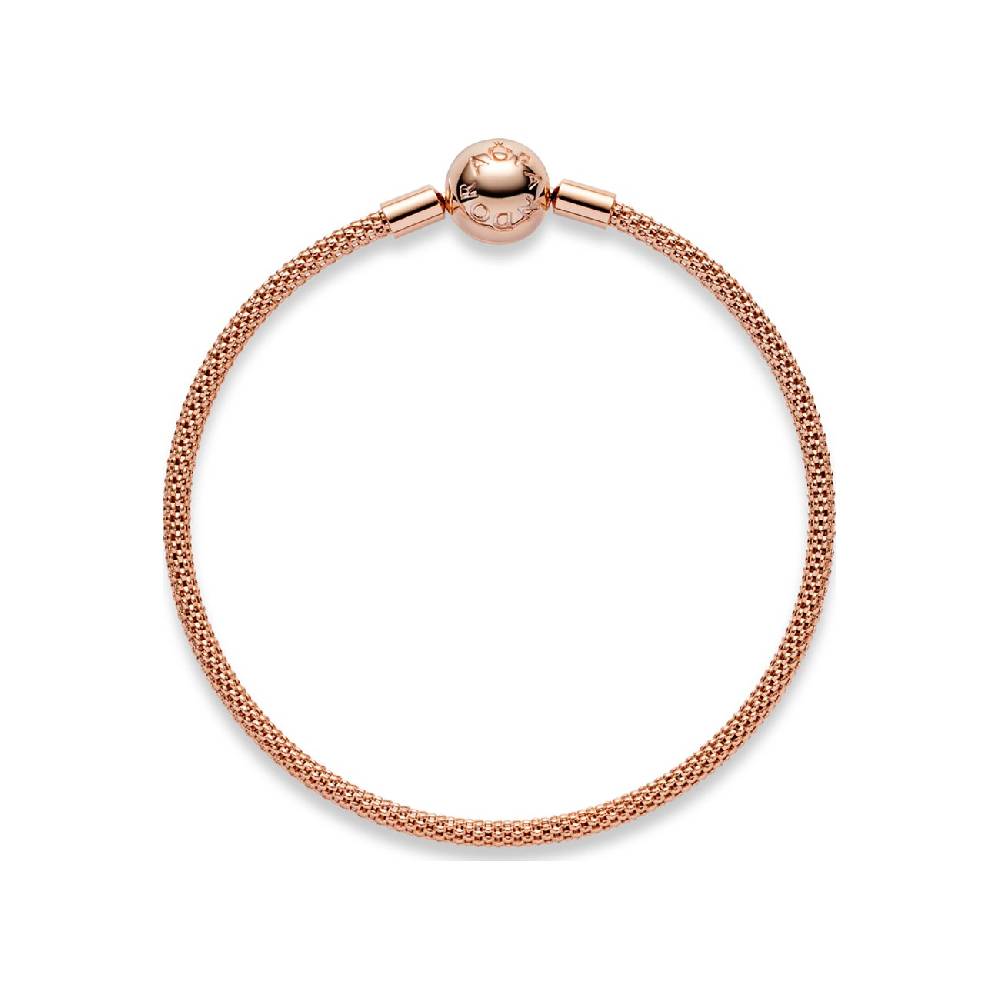Pandora Armband Moments