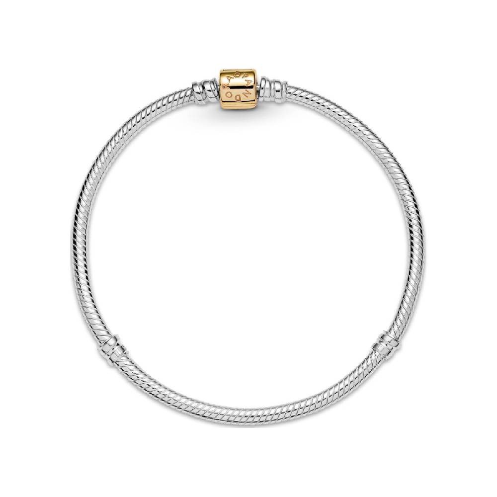 Pandora Armband Moments