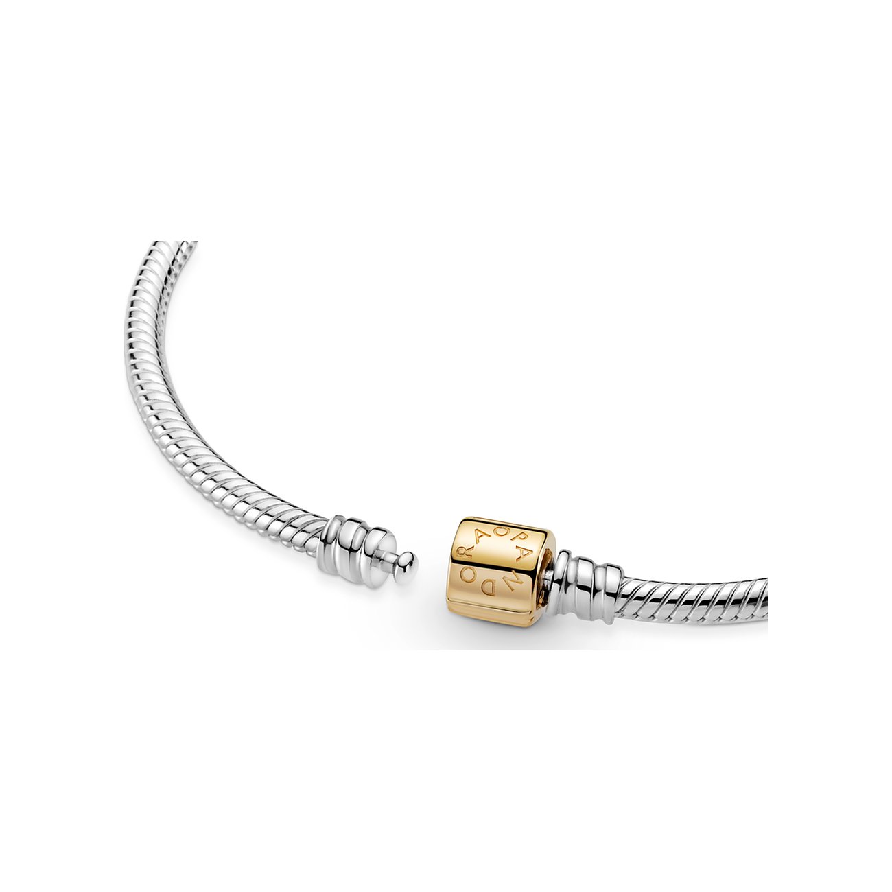 Pandora Armband Moments