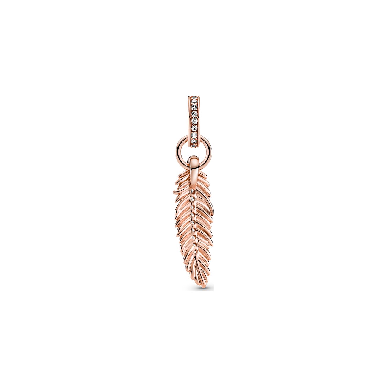 Pandora Charm Moments 789550C01