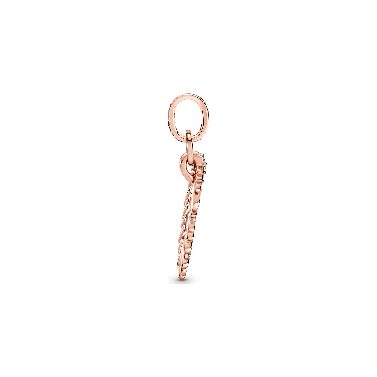Pandora Charm Moments 789550C01