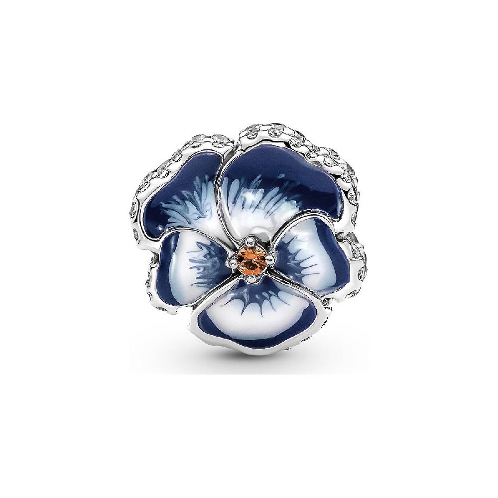 Pandora Charm Moments 790777C02
