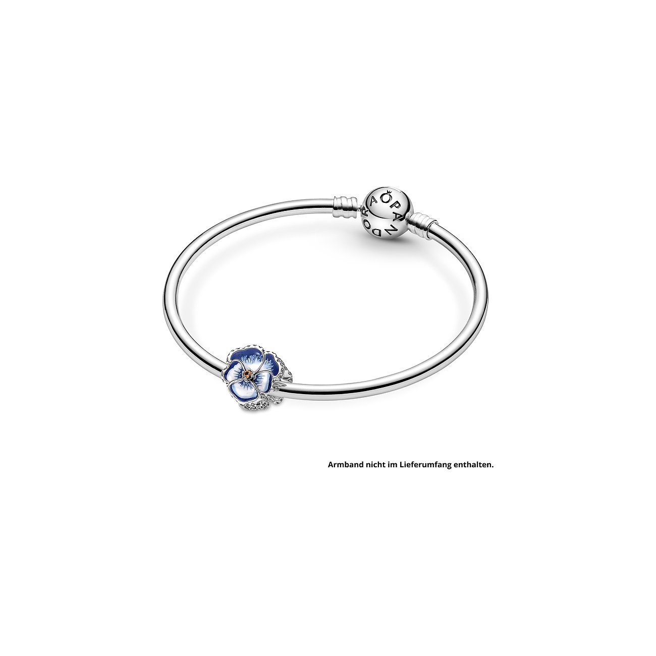 Pandora Charm Moments 790777C02