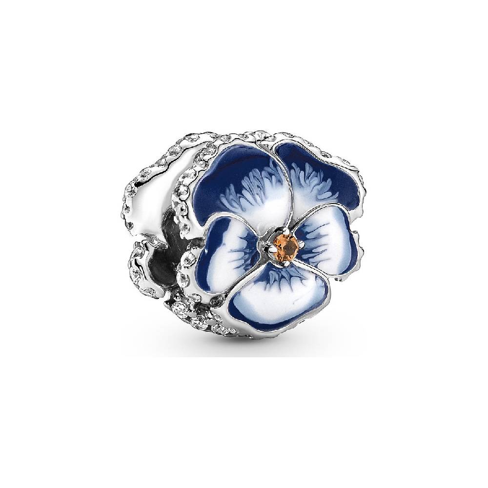 Pandora Charm Moments 790777C02