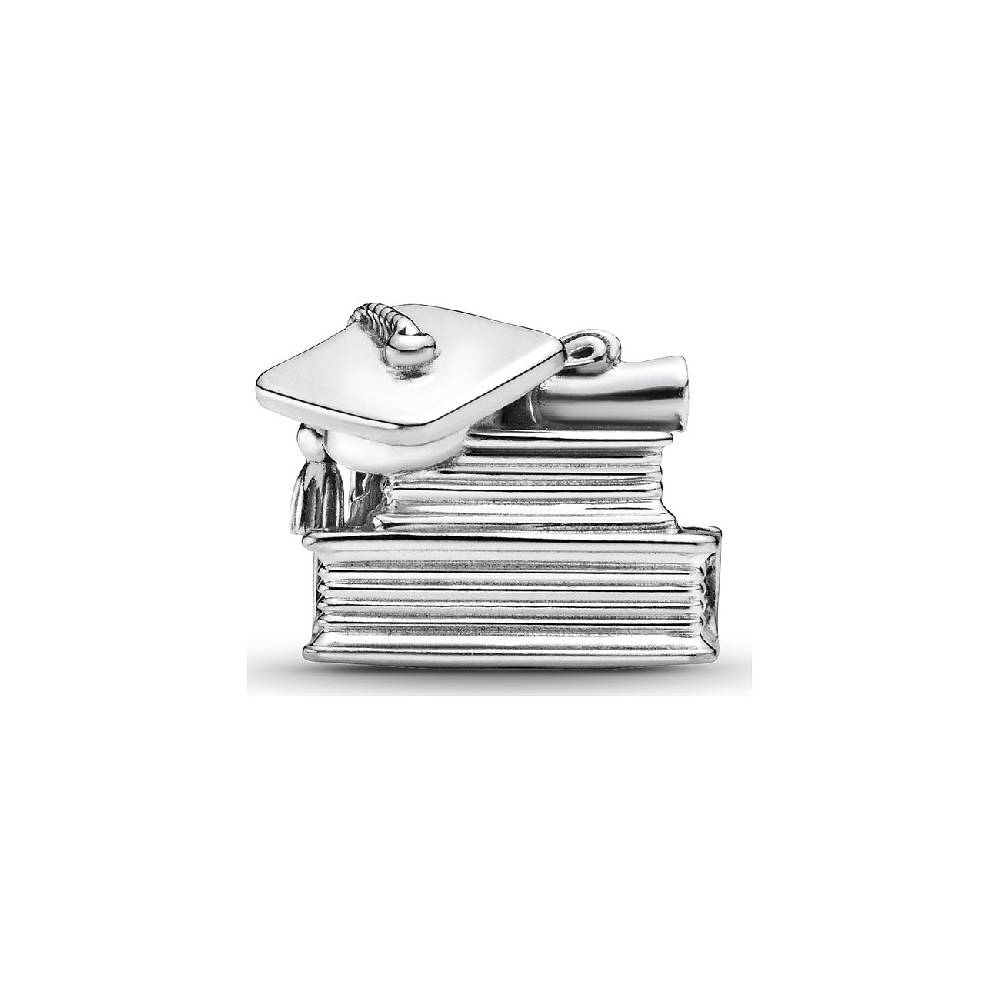 Pandora Charm Moments 790790C00