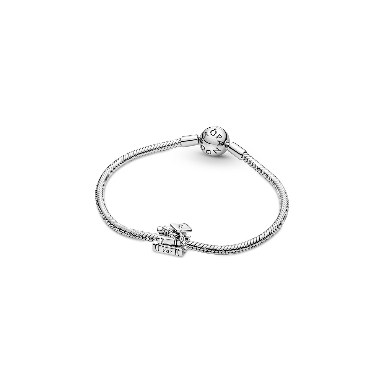 Pandora Charm Moments 790790C00
