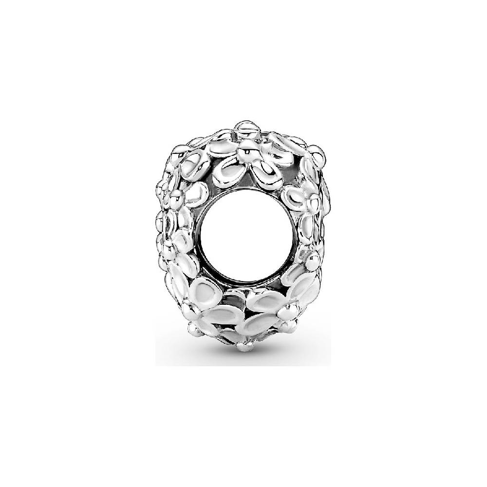 Pandora Charm Moments 791155C01