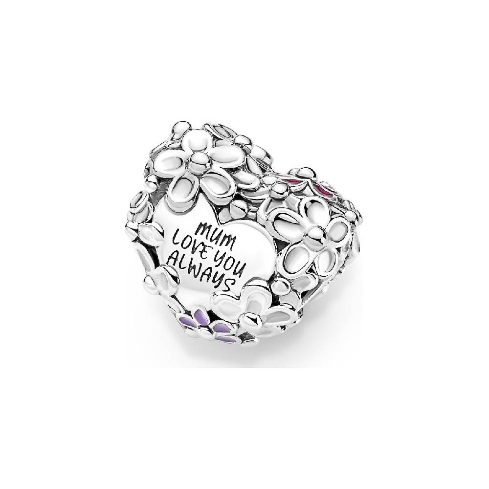 Pandora Charm Moments 791155C01