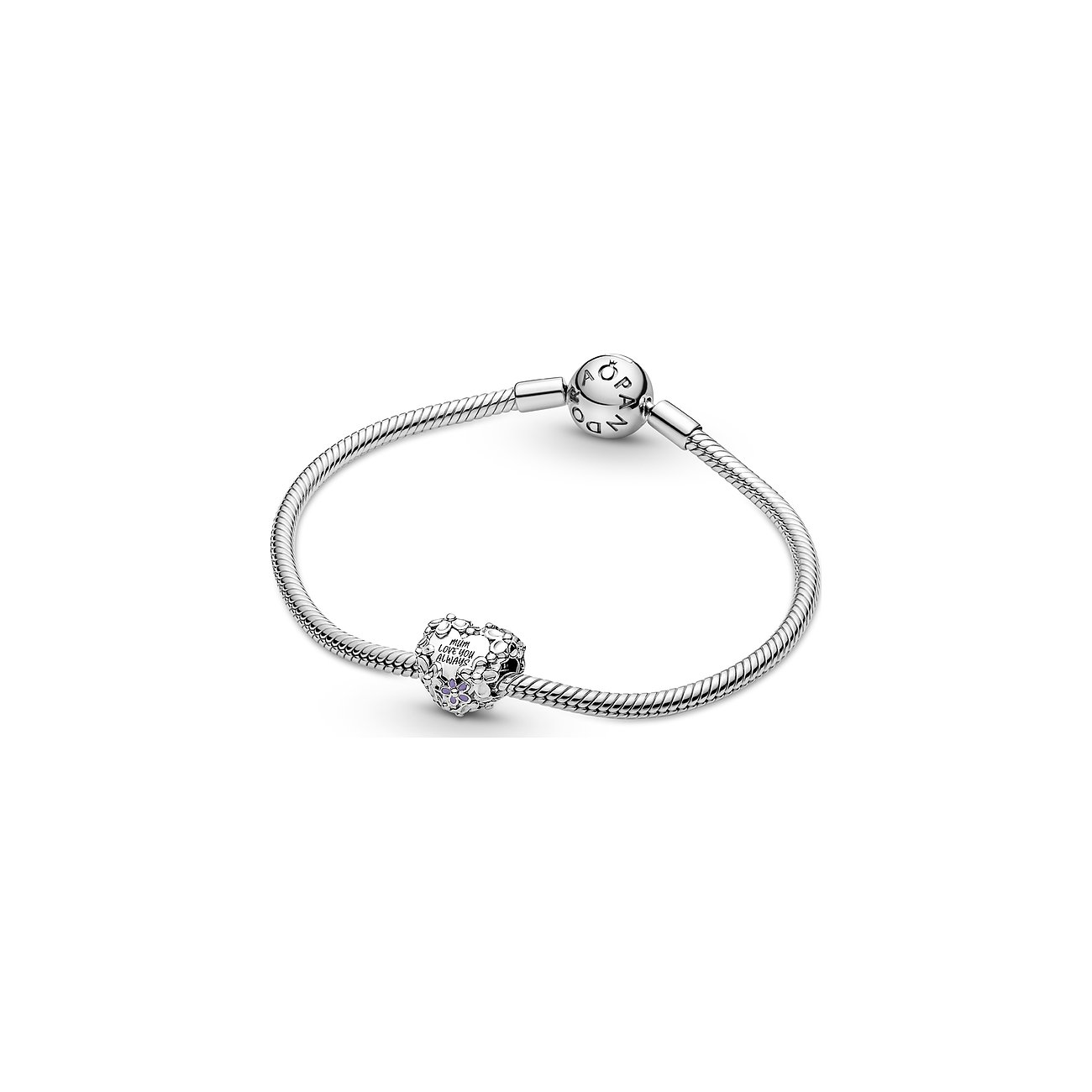Pandora Charm Moments 791155C01