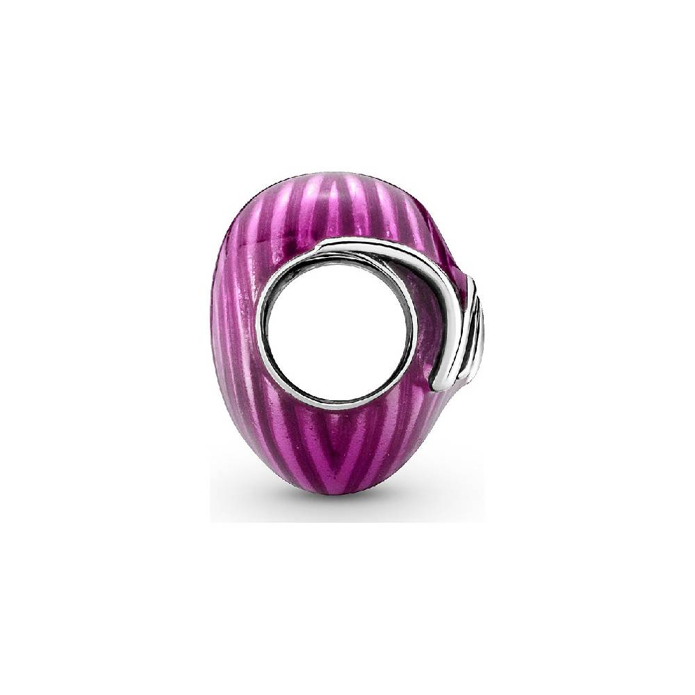Pandora Charm Moments 791505C01
