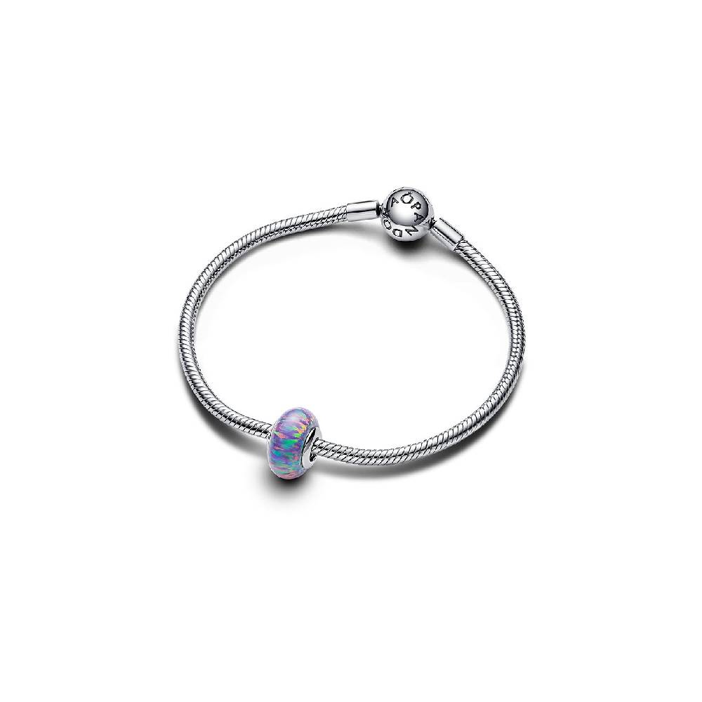 Pandora Charm Moments 791691C05