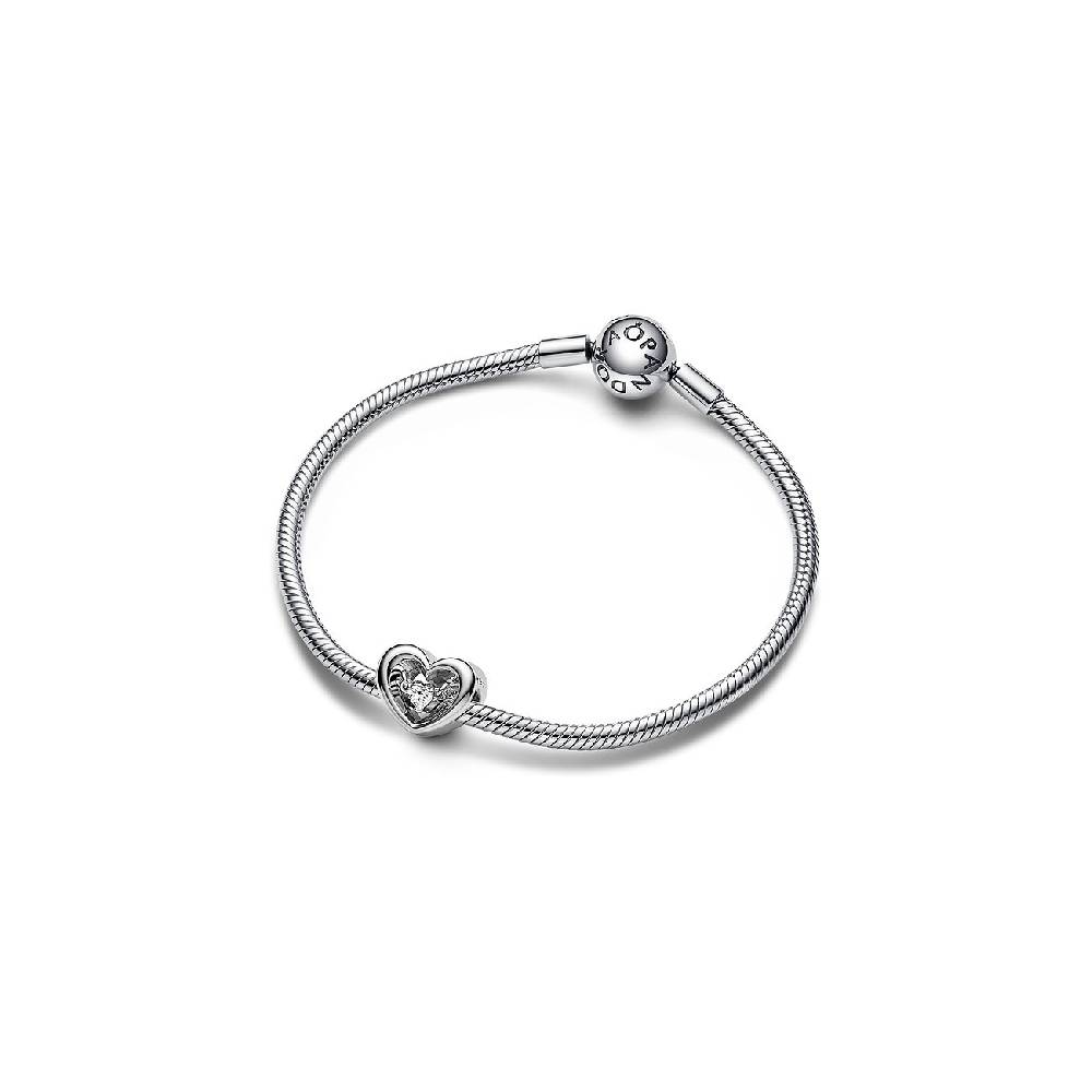 Pandora Charm Moments 792493C01