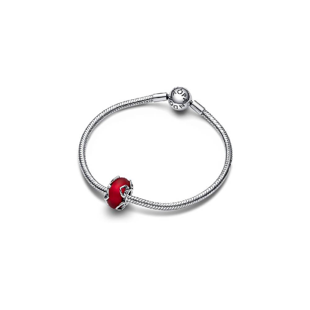 Pandora Charm Moments 792497C01