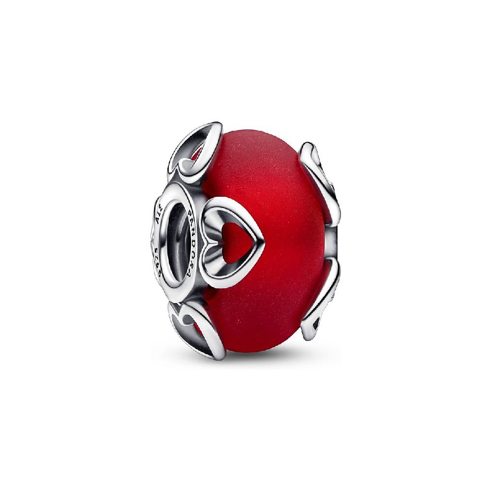 Pandora Charm Moments 792497C01