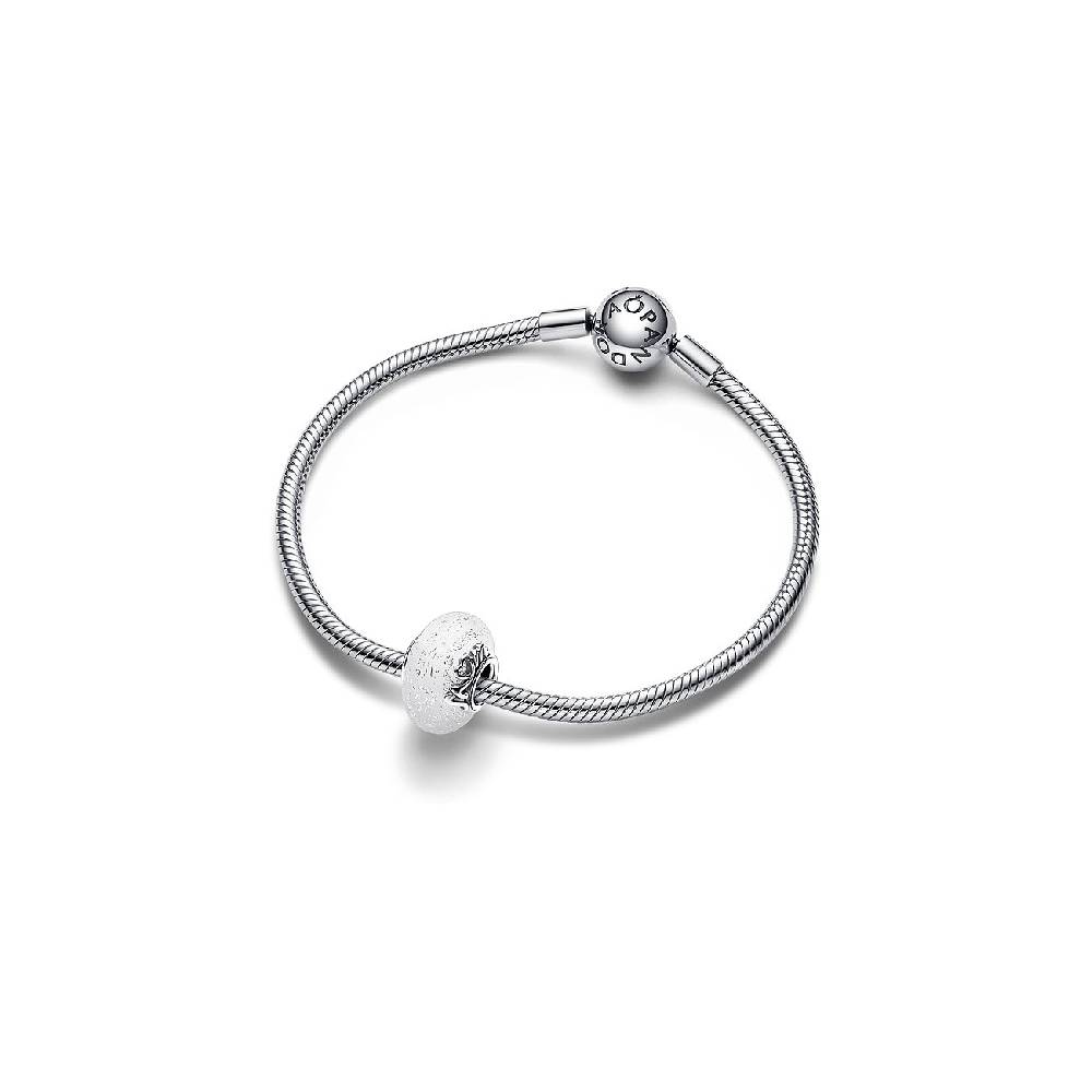 Pandora Charm Moments 792655C00