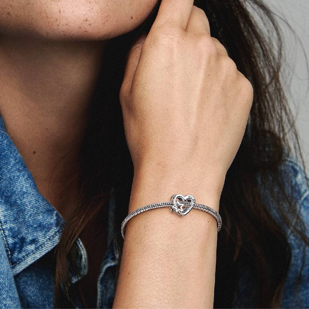 Pandora Charm Moments 792829C00