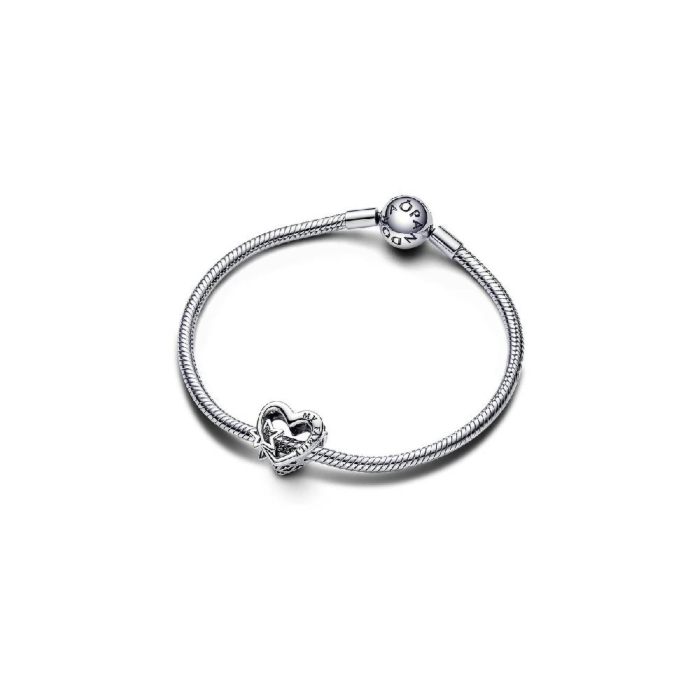 Pandora Charm Moments 792829C00