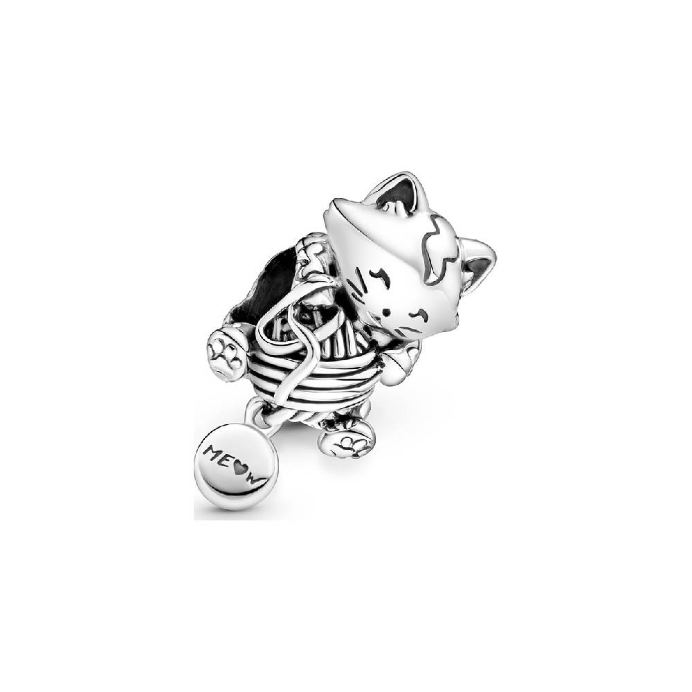 Pandora Charm Moments 799535C00