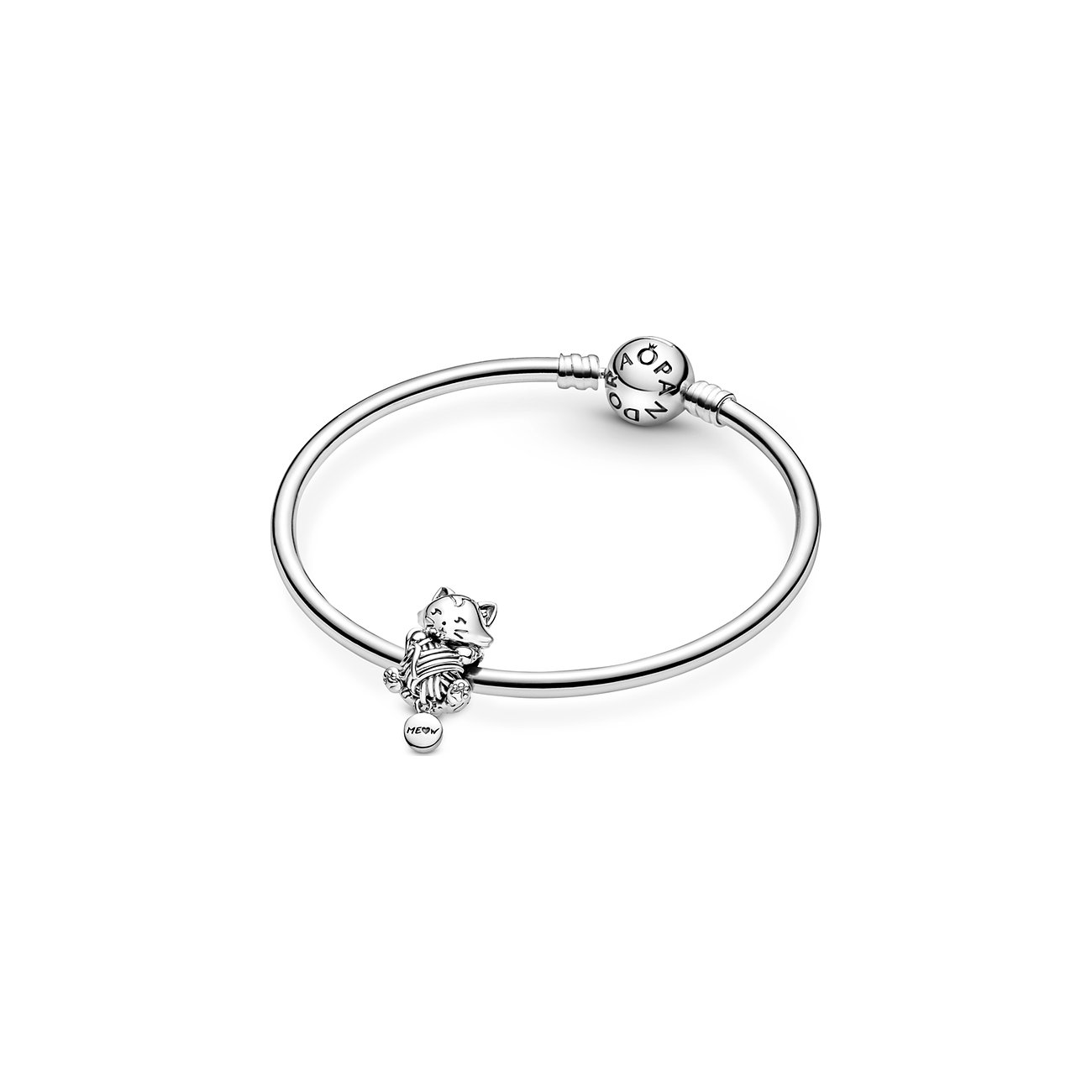 Pandora Charm Moments 799535C00