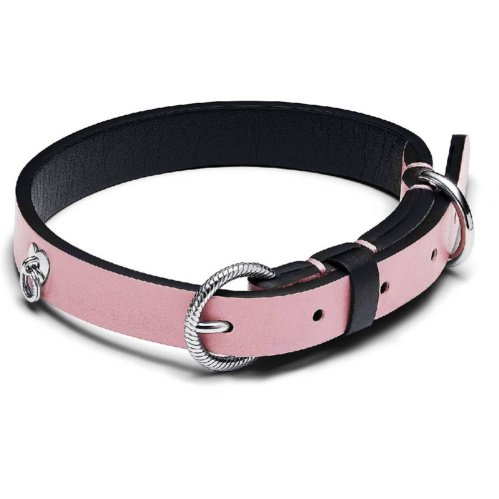 Pandora Hundehalsband Moments