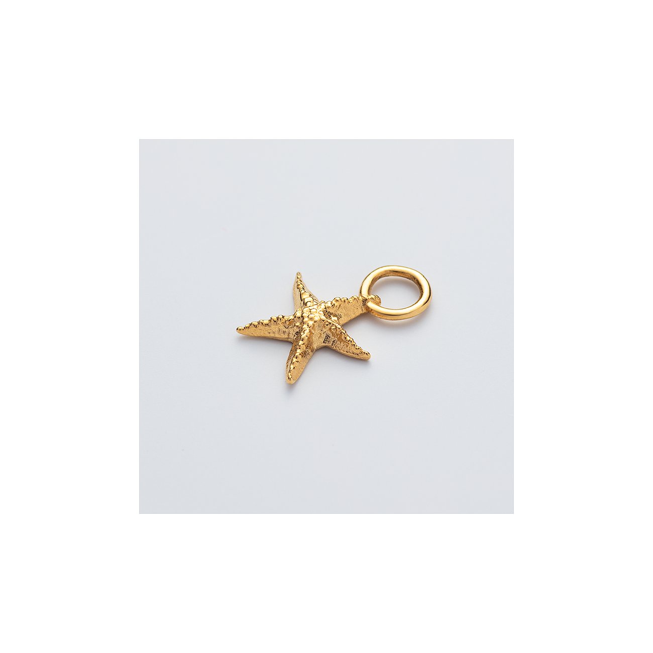 Paul Hewitt Charm PH-JE-0426