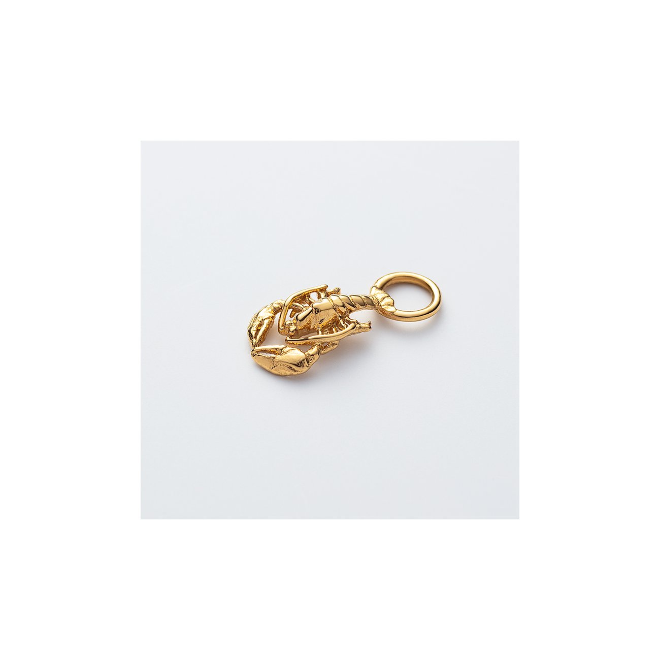 Paul Hewitt Charm PH-JE-0438